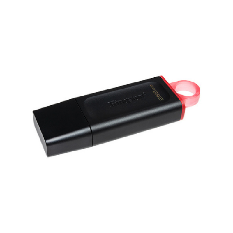 Kingston 256GB Data Traveller