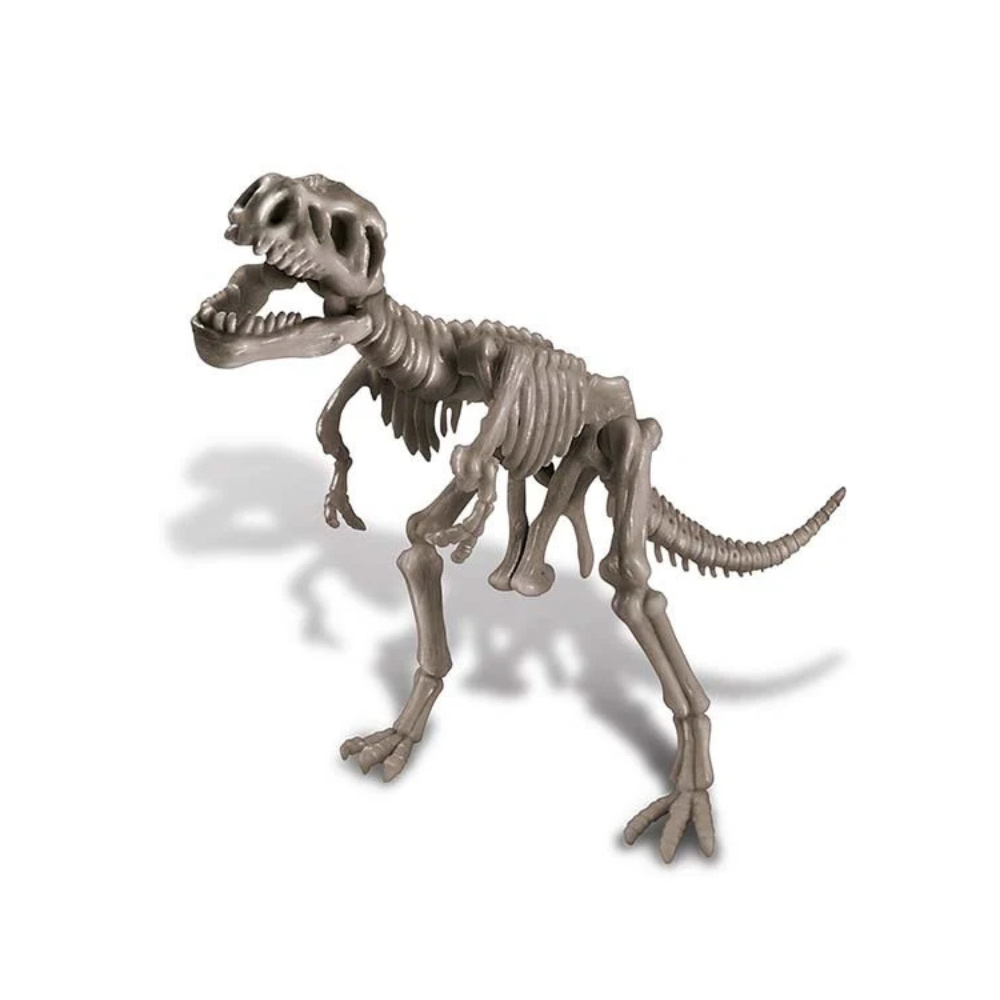 4M Dig a Dinosaur T-Rex